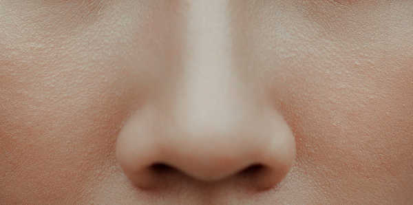 Human nose (detects smell)