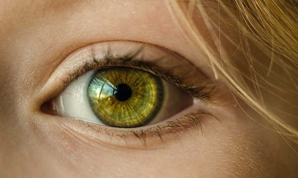 Human vision (eye)