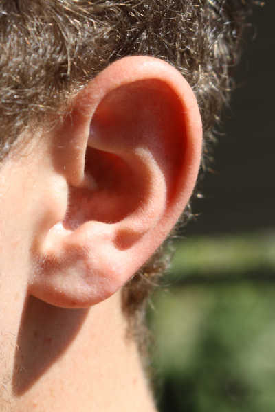 human ear (hearing)