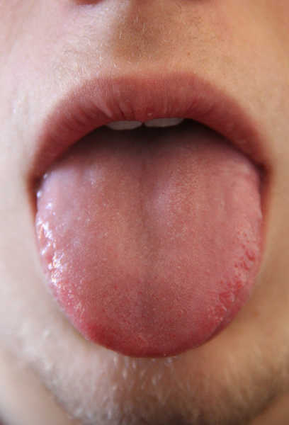 Human tongue (detect taste)