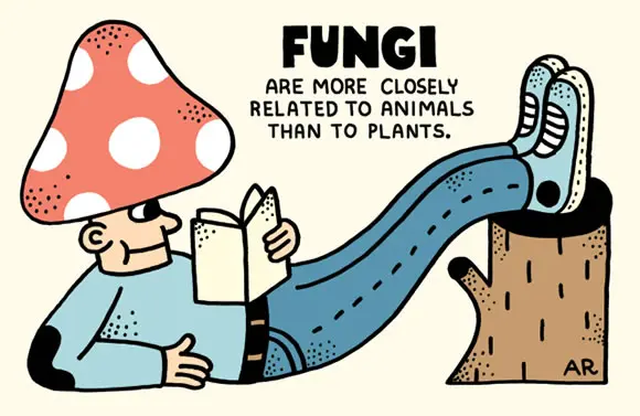 Fun Facts in Pictures (18)
