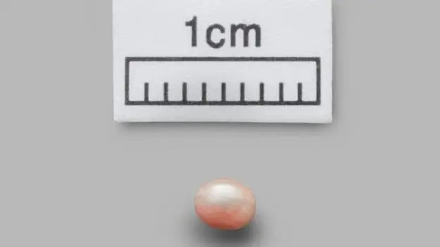 Oldest pearl in the world